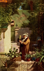 Der Kaktusfreund nach Spitzweg